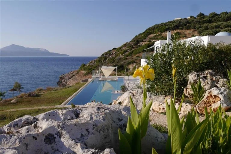 Close up of the pool and garden