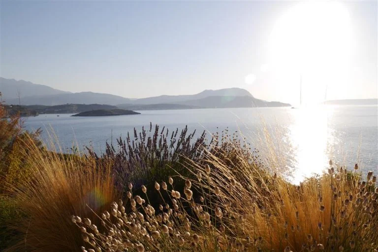 Sunset view with the garden in front