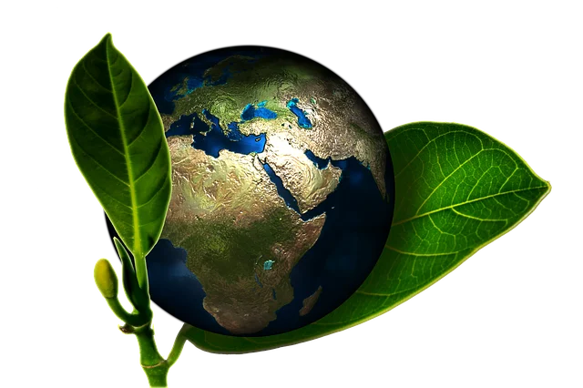 Environmental studies in Crete