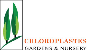 Chloroplastes Logo