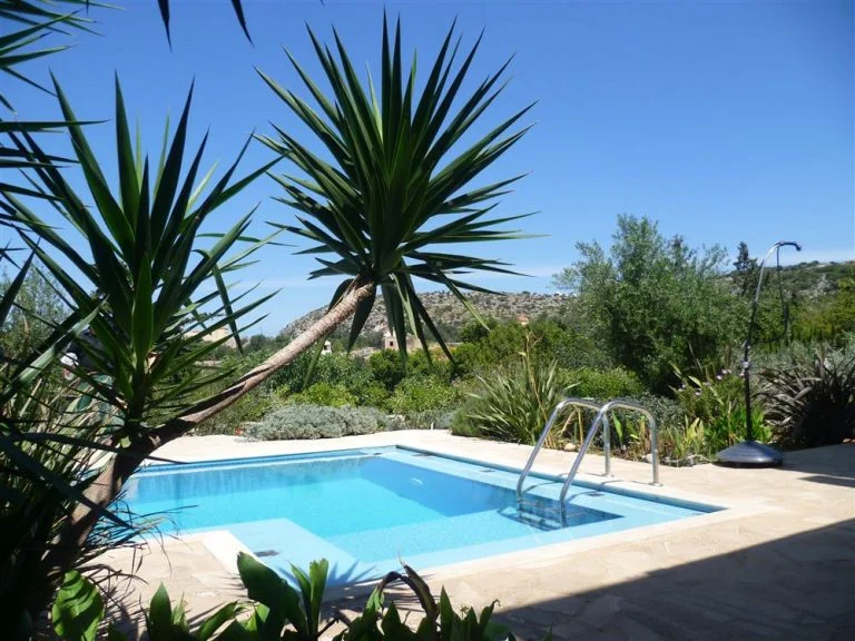 A swimming pool surrounded by greenery and trees