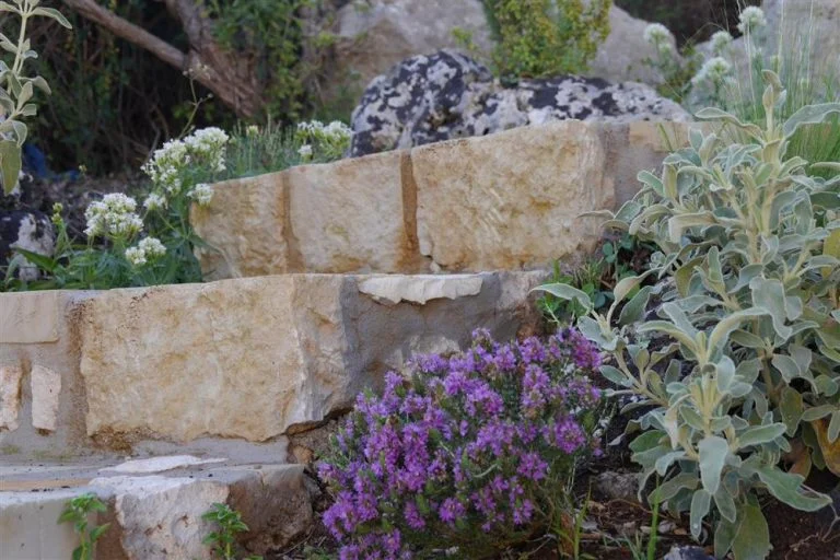 Close-up of plant and flowers adjacent to the stairs