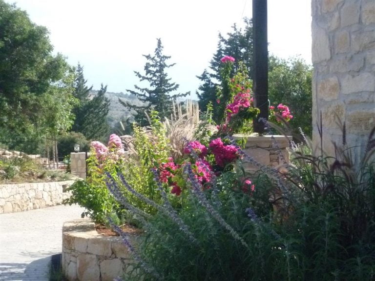 Colorful borders against the house