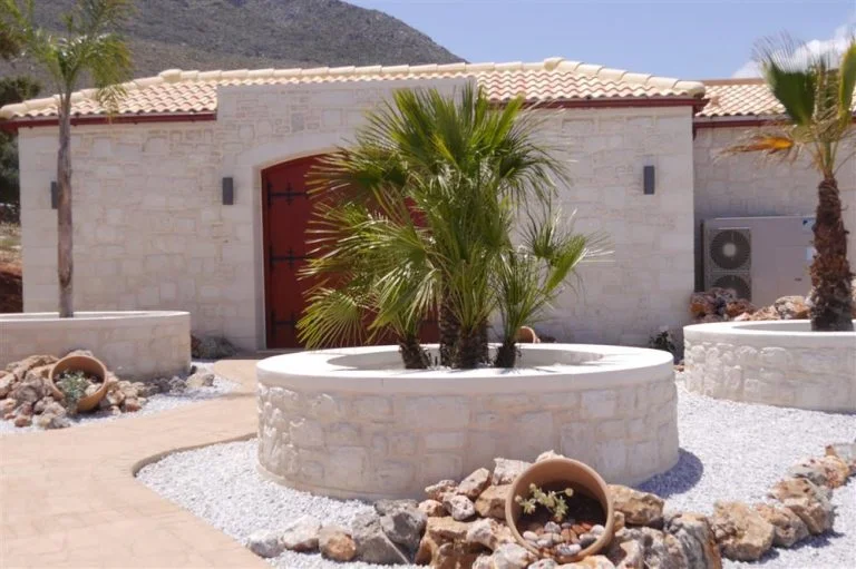 Palm tree in the centre of the garden