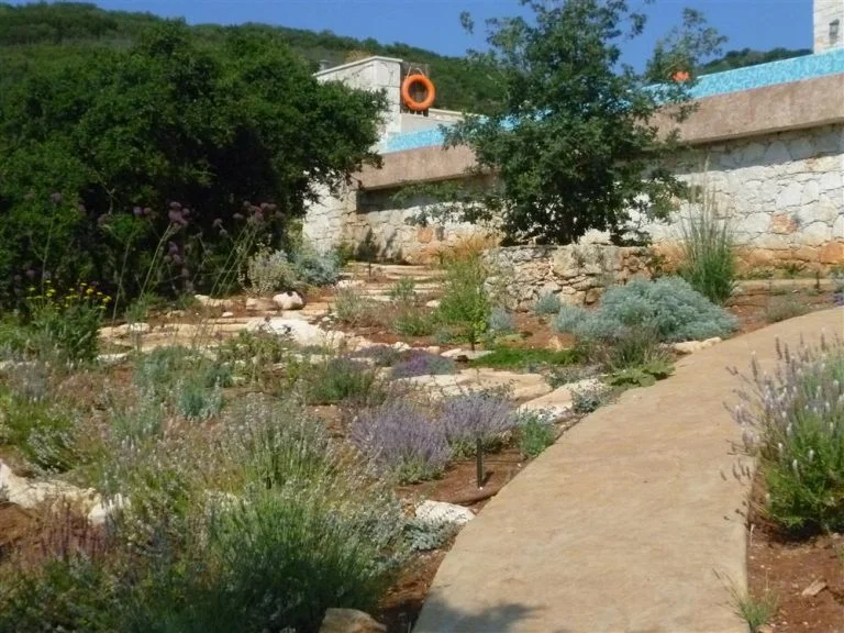 Rock gardens next to the path