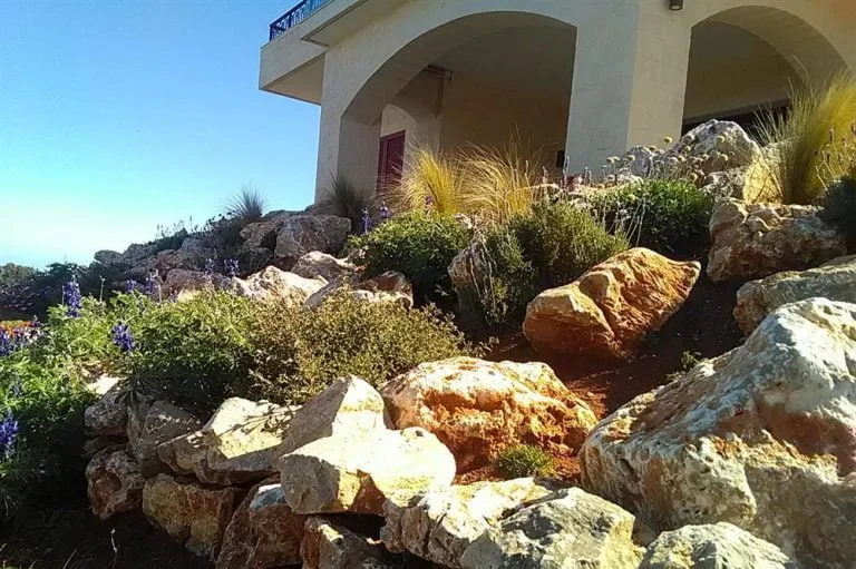 Rocky garden in front of the house