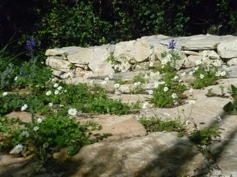 Rocky part filled with low-growing greenery