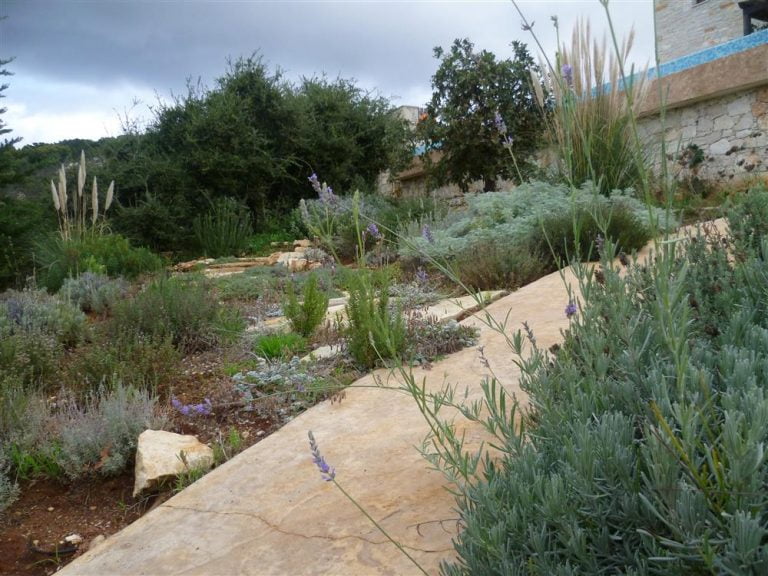 Spacious borders along the path