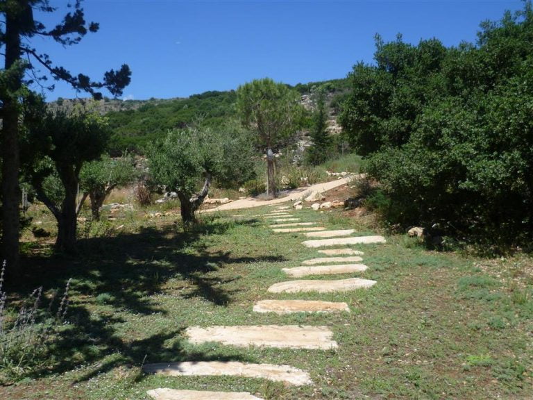 Stepping stones in the open garden area
