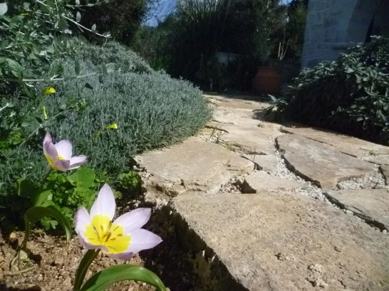 Walkway with a border on both sides