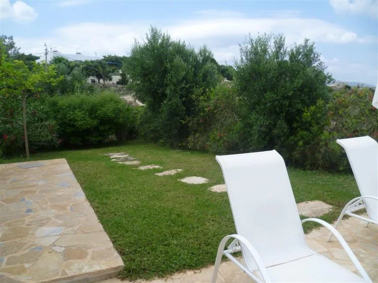 lawn next to the terrace and swimming pool