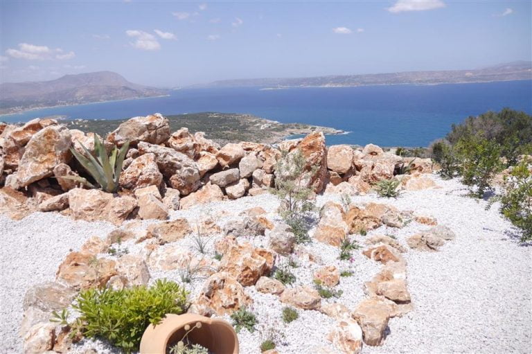 succulents mixed with wind resistant plants