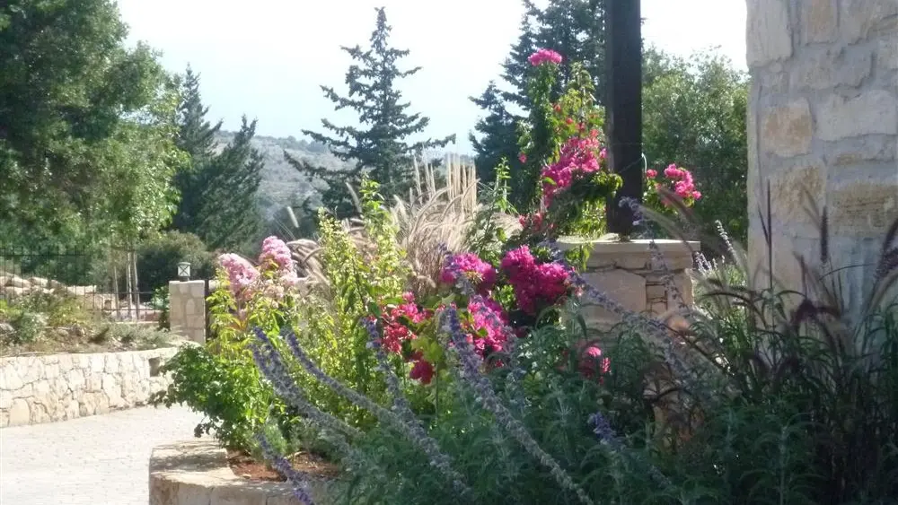 Colorful flowers for the driveway